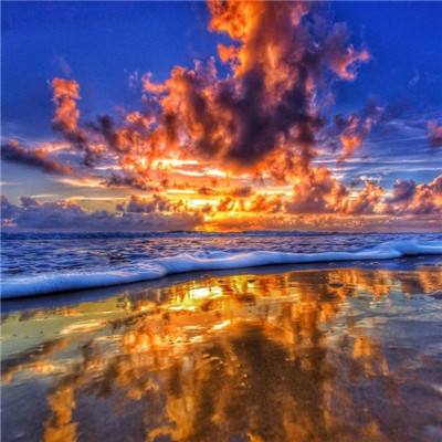 49图库一资料中心app下载